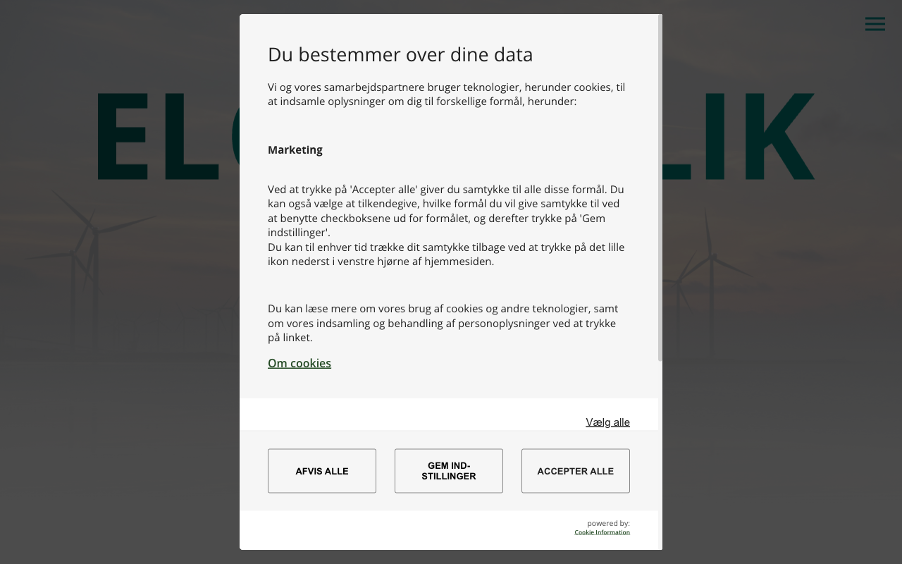 Skærmbillede af Eloverblik.dk — find dit elselskab og målepunkt via MitID