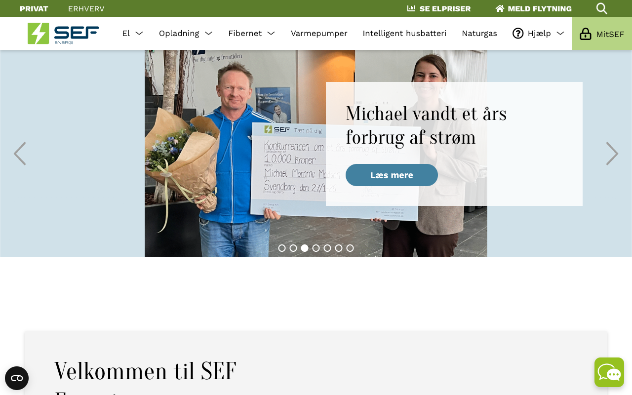 Skærmbillede af SEF Energis hjemmeside — https://sef.dk